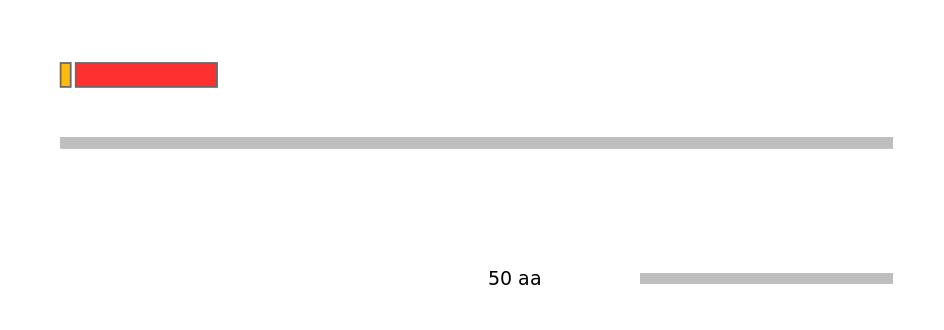 MmuEX0054056-INC