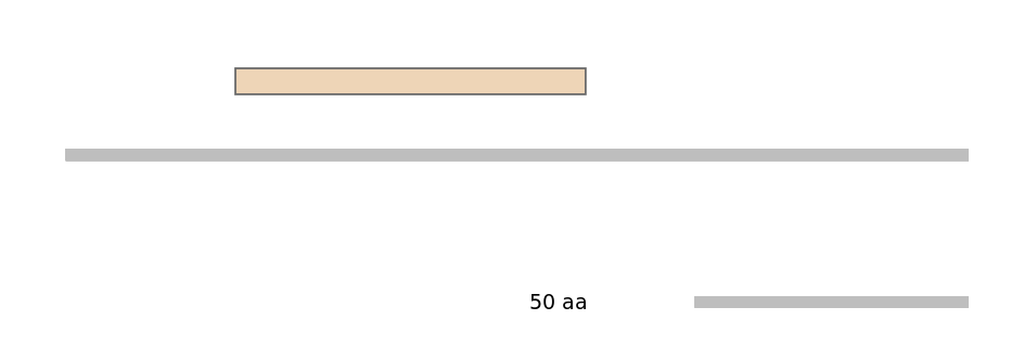 MmuEX0054058-EXC