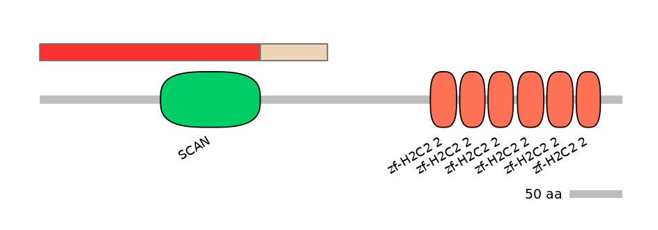 MmuEX0054058-INC