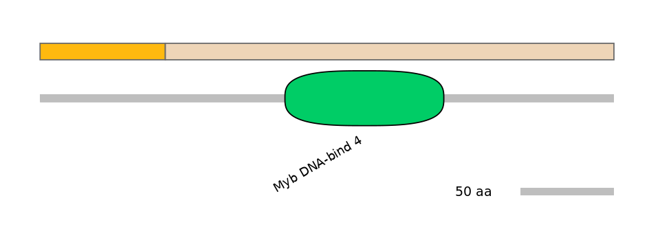 MmuEX0054060-EXC