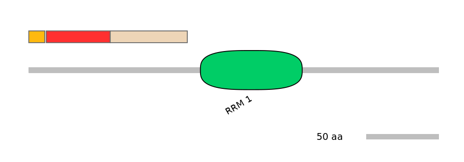 MmuEX6004309-INC