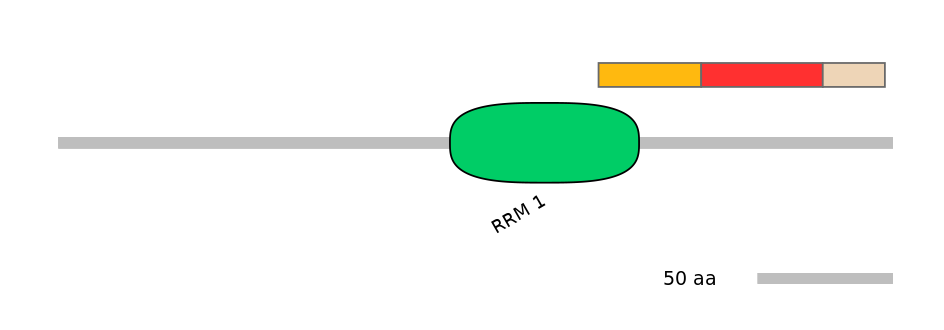 MmuEX6004313-INC
