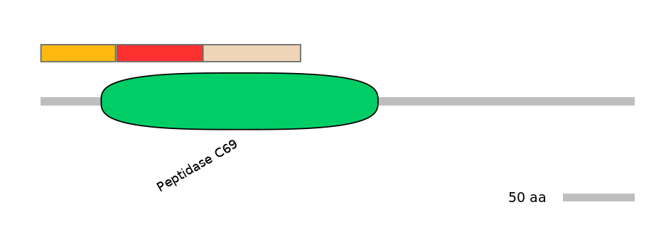 MmuEX6004433-INC