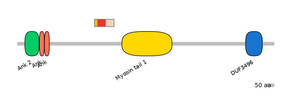 MmuEX6006487-INC