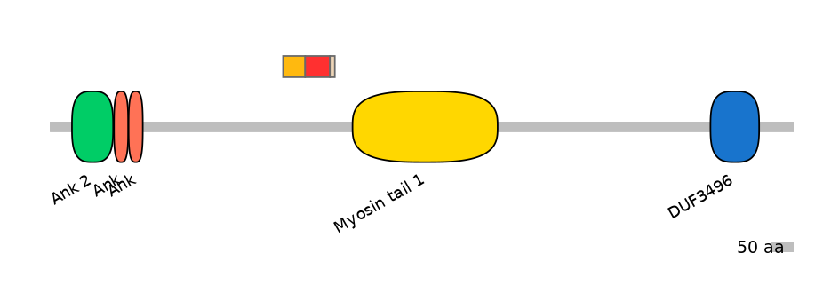 MmuEX6006488-INC