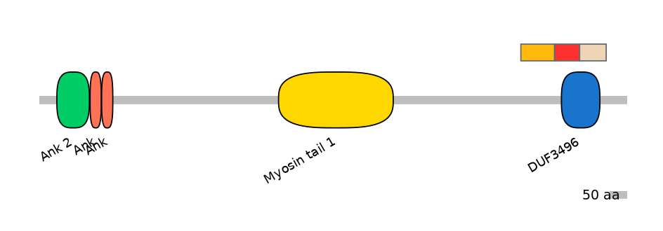MmuEX6006496-INC