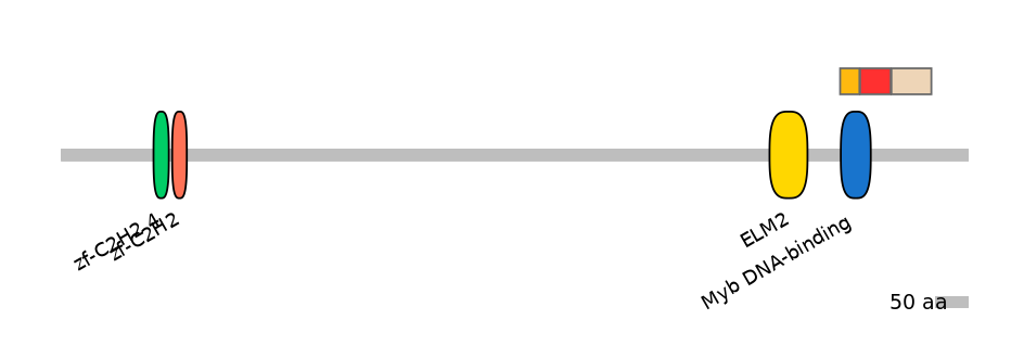 MmuEX6008497-INC