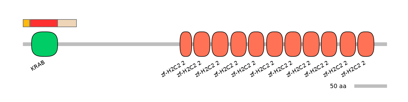 MmuEX6009674-INC