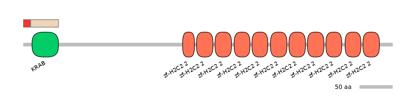 MmuEX6009675-INC
