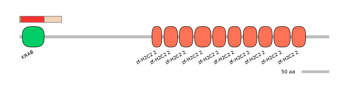 MmuEX6009682-INC