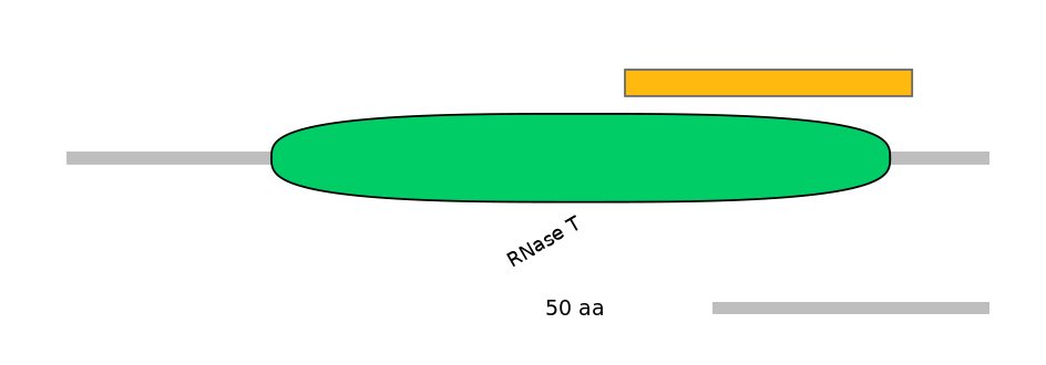 MmuEX6013620-EXC