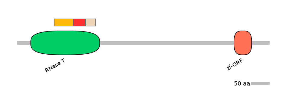 MmuEX6013620-INC