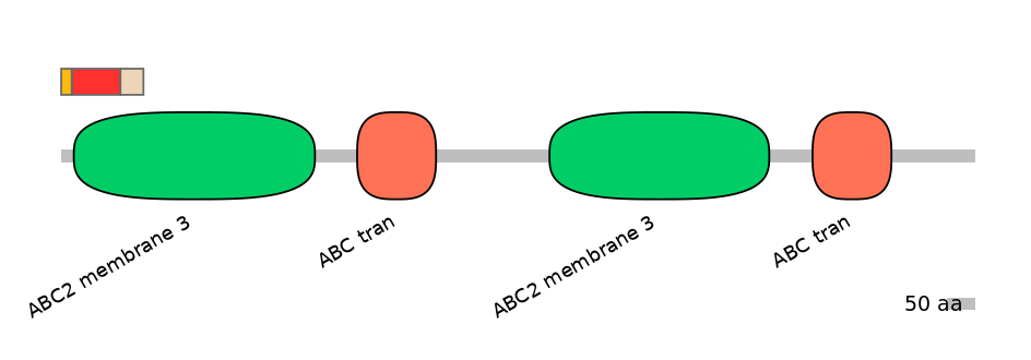 MmuEX6013734-INC
