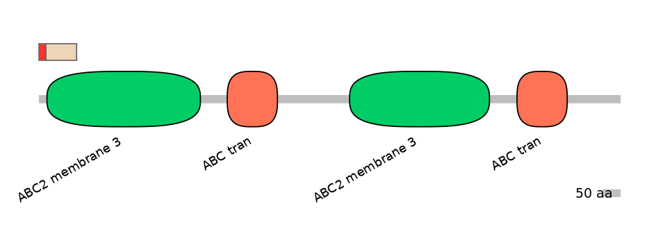 MmuEX6013735-INC