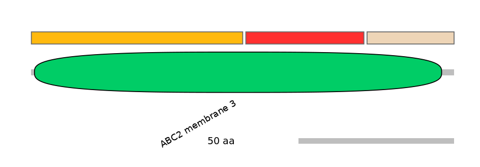MmuEX6013754-INC