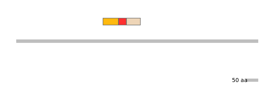 MmuEX6016096-INC