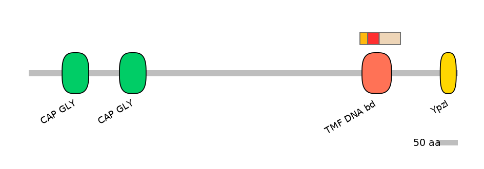 MmuEX6021429-INC