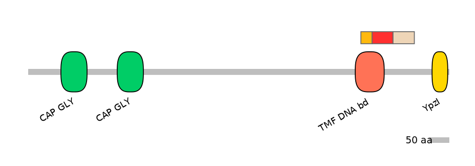 MmuEX6021430-INC
