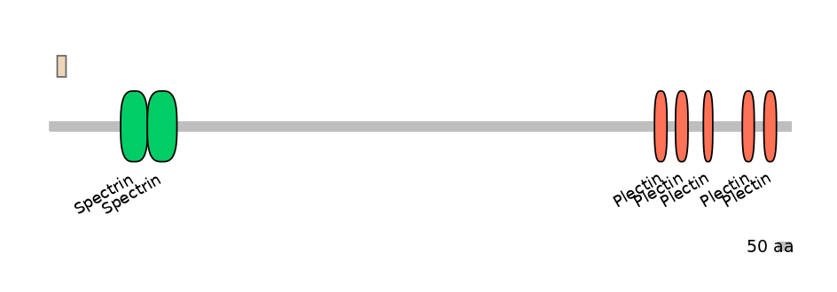 MmuEX6023482-EXC