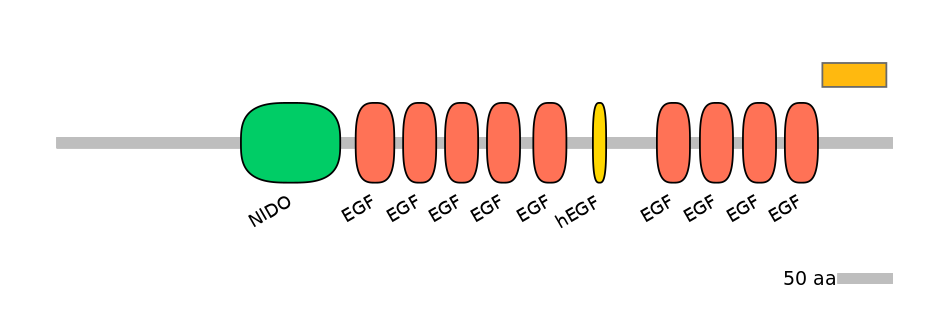 MmuEX6026475-EXC