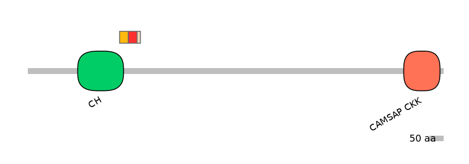 MmuEX6027785-INC