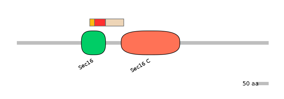 MmuEX6028539-INC