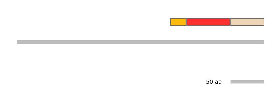 MmuEX6028620-INC