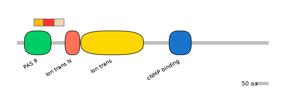 MmuEX6030131-INC
