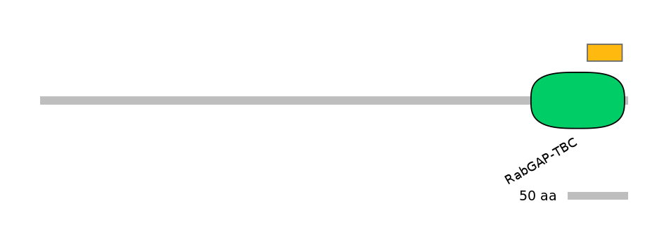 MmuEX6032688-EXC