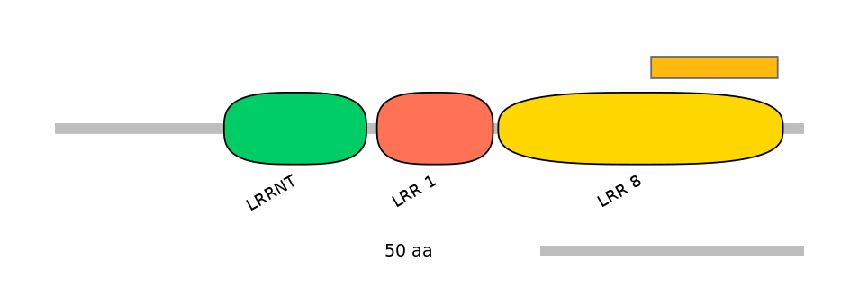 MmuEX6032828-EXC