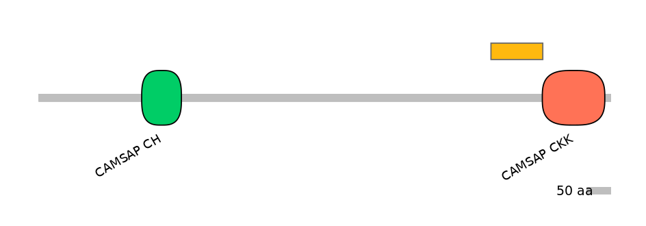 MmuEX6034118-EXC