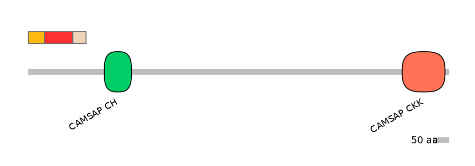 MmuEX6034126-INC