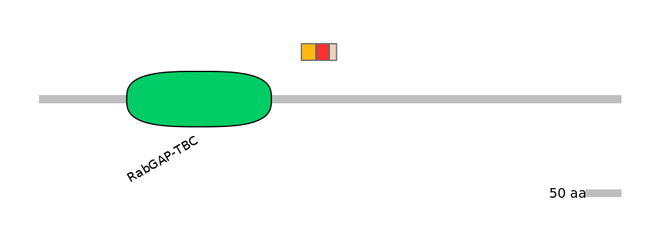 MmuEX6034204-INC