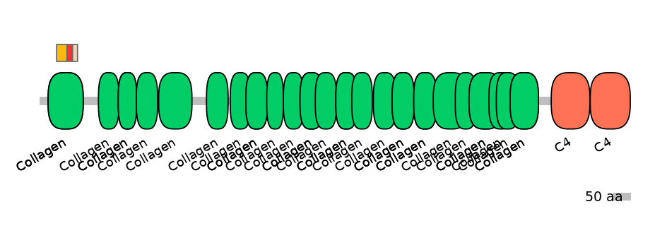 MmuEX6034286-INC