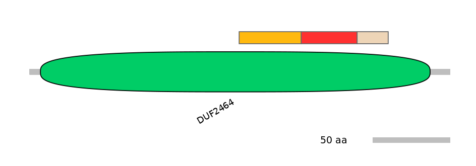 MmuEX6036329-INC