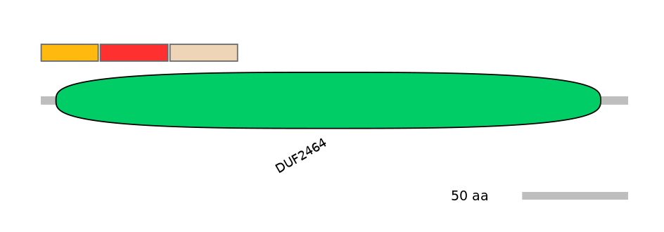 MmuEX6036331-INC