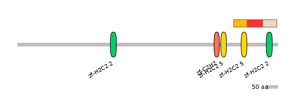 MmuEX6036578-INC