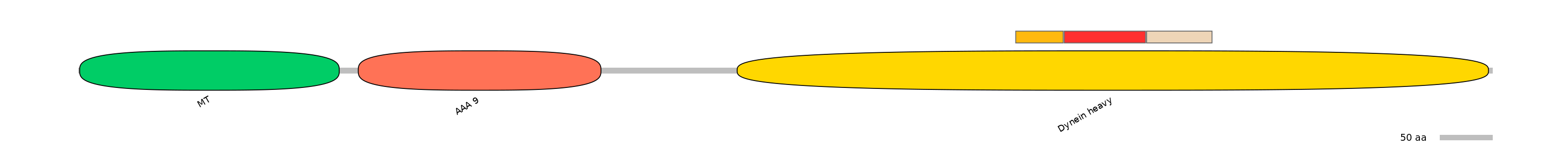 MmuEX6040082-INC