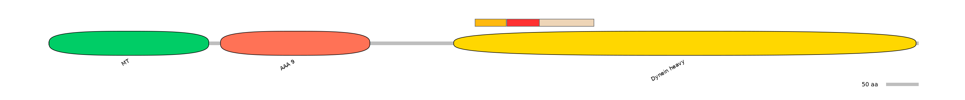MmuEX6040086-INC