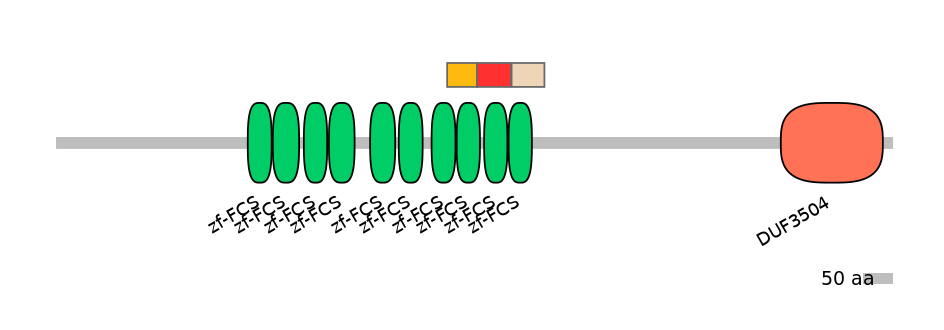 MmuEX6041796-INC