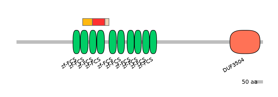 MmuEX6041800-INC