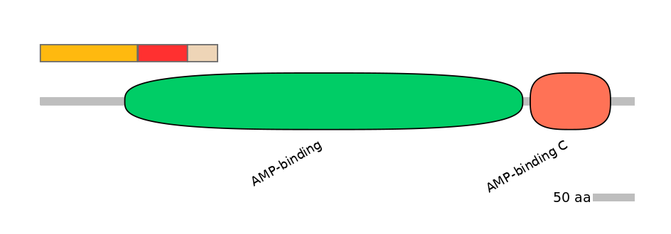 MmuEX6046221-INC
