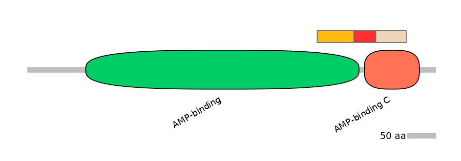 MmuEX6046228-INC