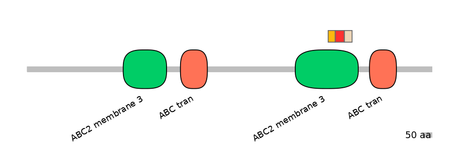 MmuEX6049692-INC