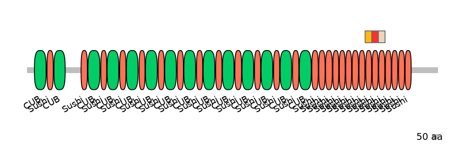 MmuEX6053538-INC