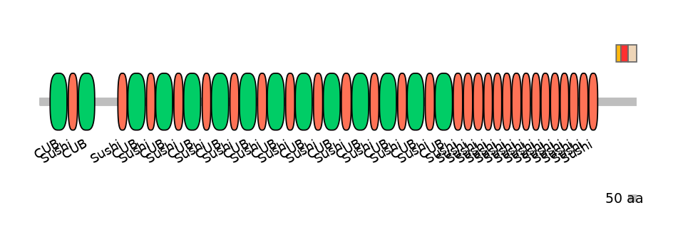 MmuEX6053546-INC