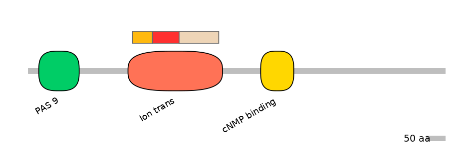 MmuEX6056370-INC