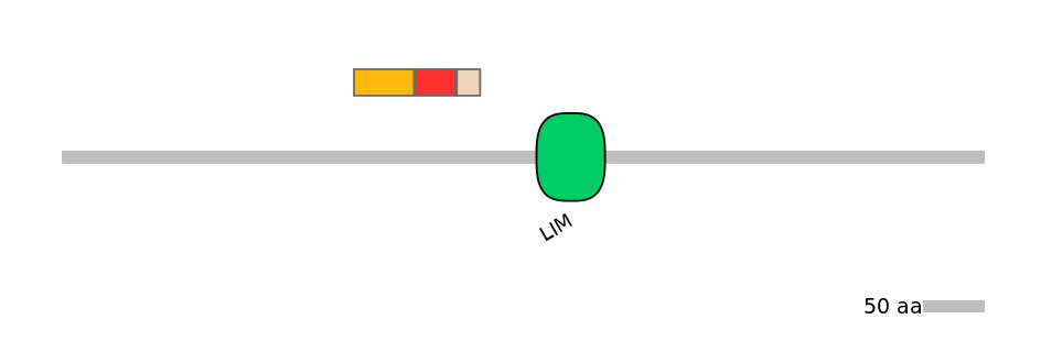MmuEX6056466-INC