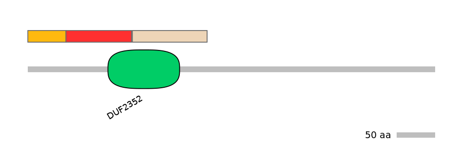 MmuEX6056519-INC