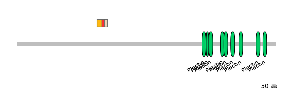 MmuEX6057976-INC